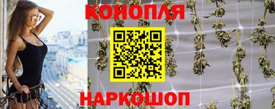 apvp Лесосибирск