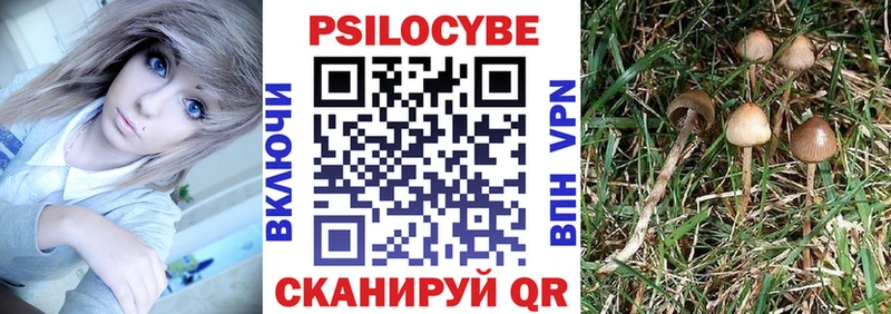 Галлюциногенные грибы мицелий  кракен онион  Советский 