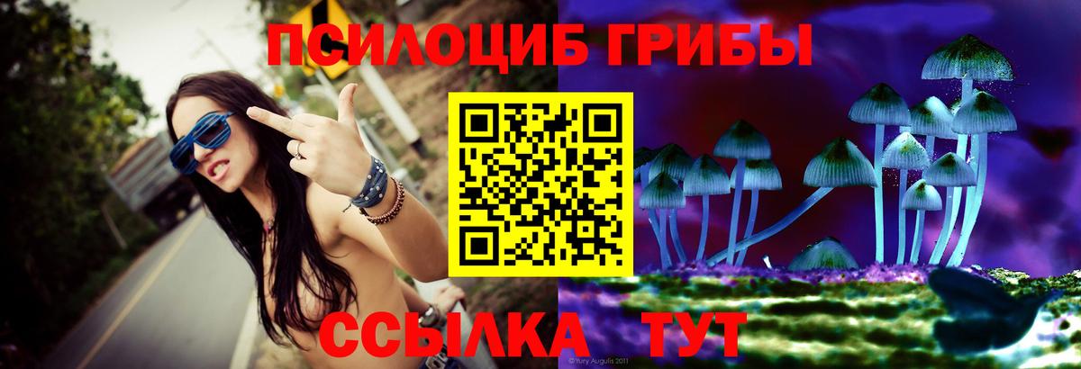 Советский  Галлюциногенные грибы прущие грибы  Вход с VPN 
